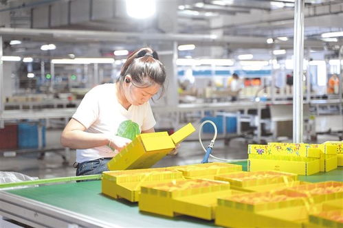 貴州 酒類行業進入生產旺季,包材企業開足馬力